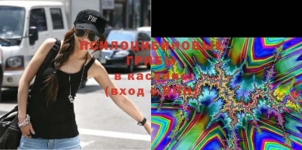 мдпв Коряжма