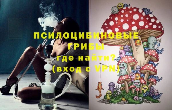 прущая мука Корсаков