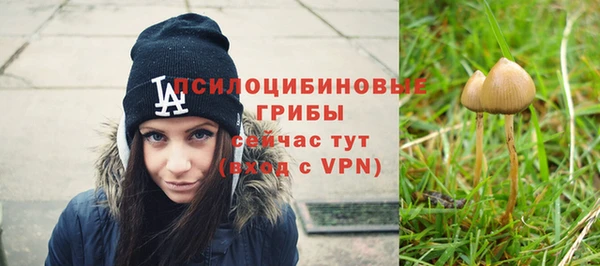 стафф Костерёво