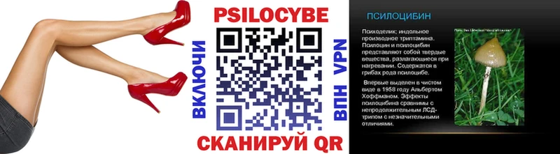 Купить  Тихорецк  Галлюциногенные грибы Psilocybe 